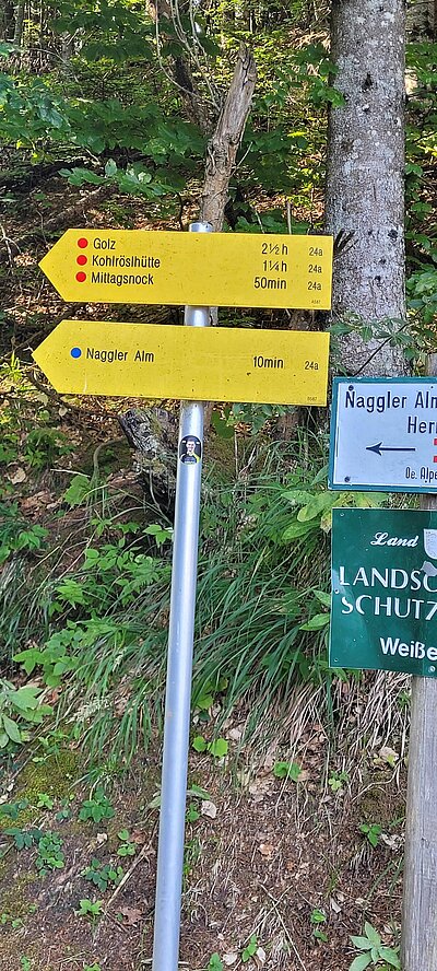 Wanderung der Naturfreunde - Kohlröslhütte 1534m