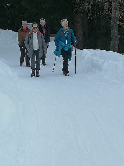 Rodeln der Naturfreunde in St. Jakob (Alpe Stalle)