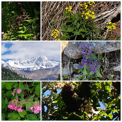 Wanderung der Naturfreunde - Oblasser Stausee