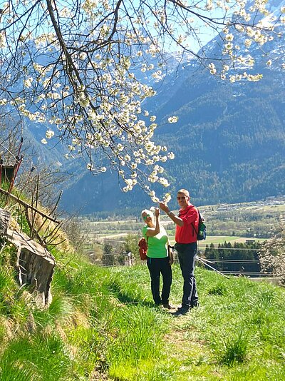 Wanderung der Naturfreunde - Ruine Walchenstein