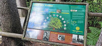 Wanderung der Naturfreunde - Vogelerlebnisweg Thurn