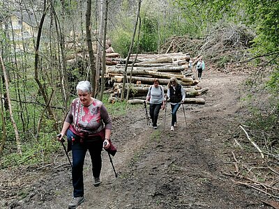 4. Seniorenwanderung der Naturfreunde - Römersteig