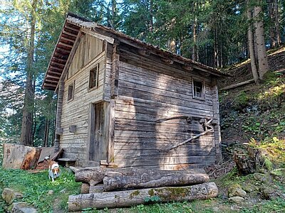 24. Seniorenwanderung der Naturfreunde - Zunigalm