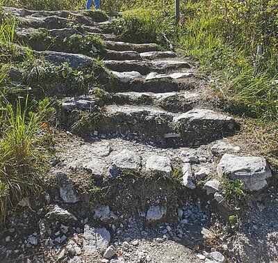 Wanderung der Naturfreunde - Dreischusterhütte