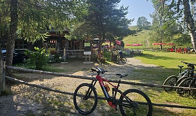 Wanderung der Naturfreunde - Kohlröslhütte 1534m