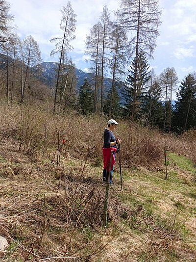 2. Seniorenwanderung der Naturfreunde - Nußdorf-Gaimberg-Runde