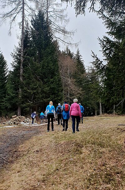 Frühlingswanderung der Naturfreunde am Iselsberg