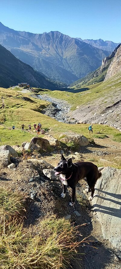 15. Seniorenwanderung der Naturfreunde 2022 - Luckner- und Stüdlhütte