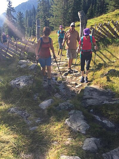 17. Seniorenwanderung der Naturfreunde - Lienzer Hütte