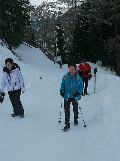 Rodeln der Naturfreunde in St. Jakob (Alpe Stalle)