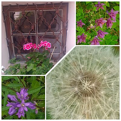 Wanderung der Naturfreunde - Lavant-Tristach-Runde