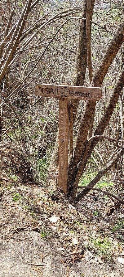 2. Seniorenwanderung der Naturfreunde - Nußdorf-Gaimberg-Runde