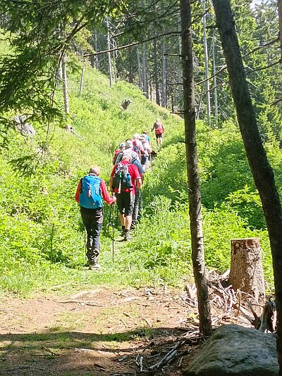 10. Seniorenwanderung der Naturfreunde - Winklerner Hütte