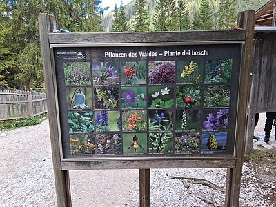 Wanderung der Naturfreunde - Talschlusshütte im Fischleintal