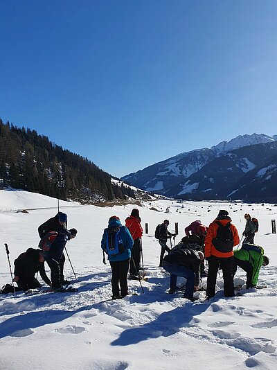 Schneeschuhwanderung der Naturfreunde in Obertilliach