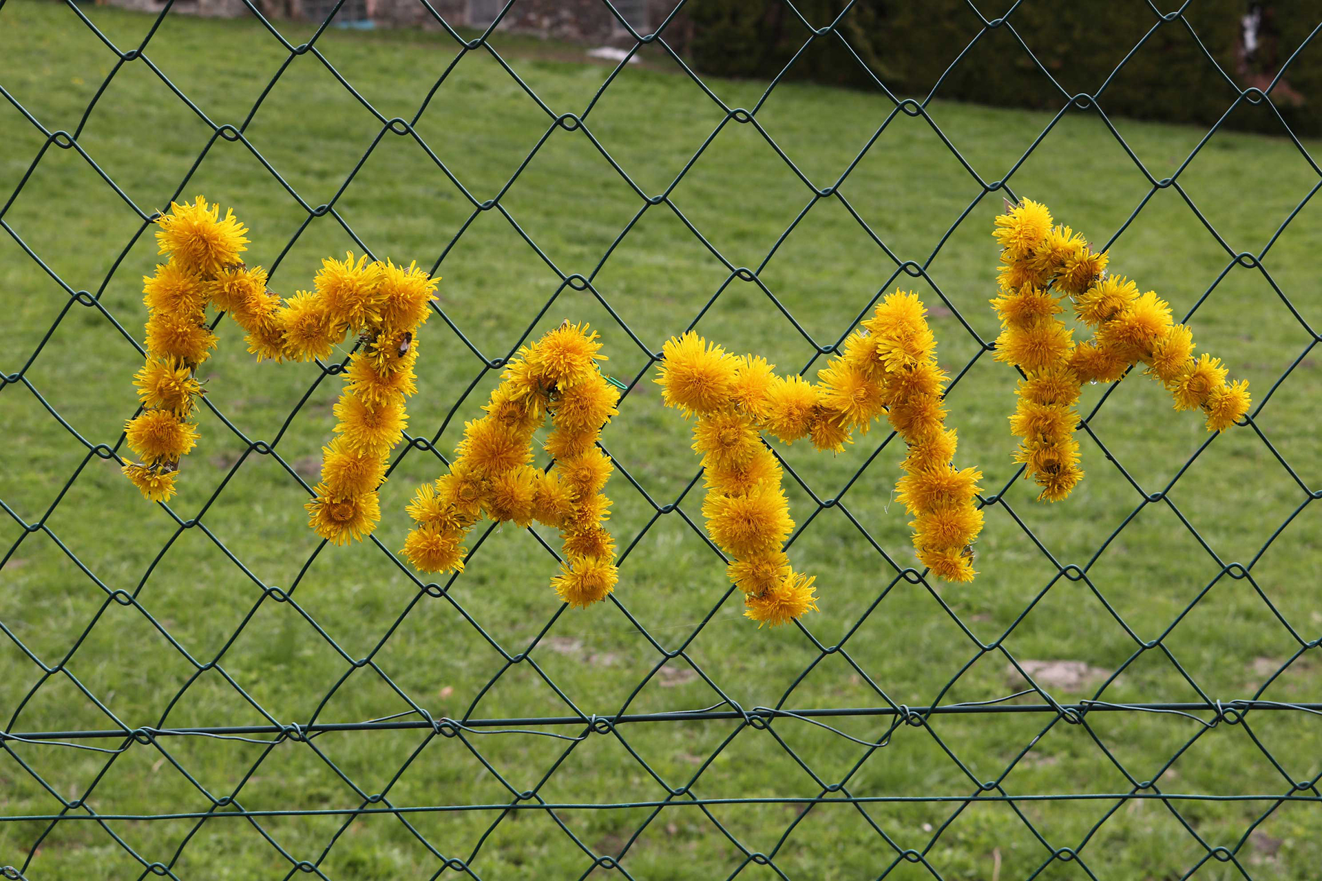 Muttertag