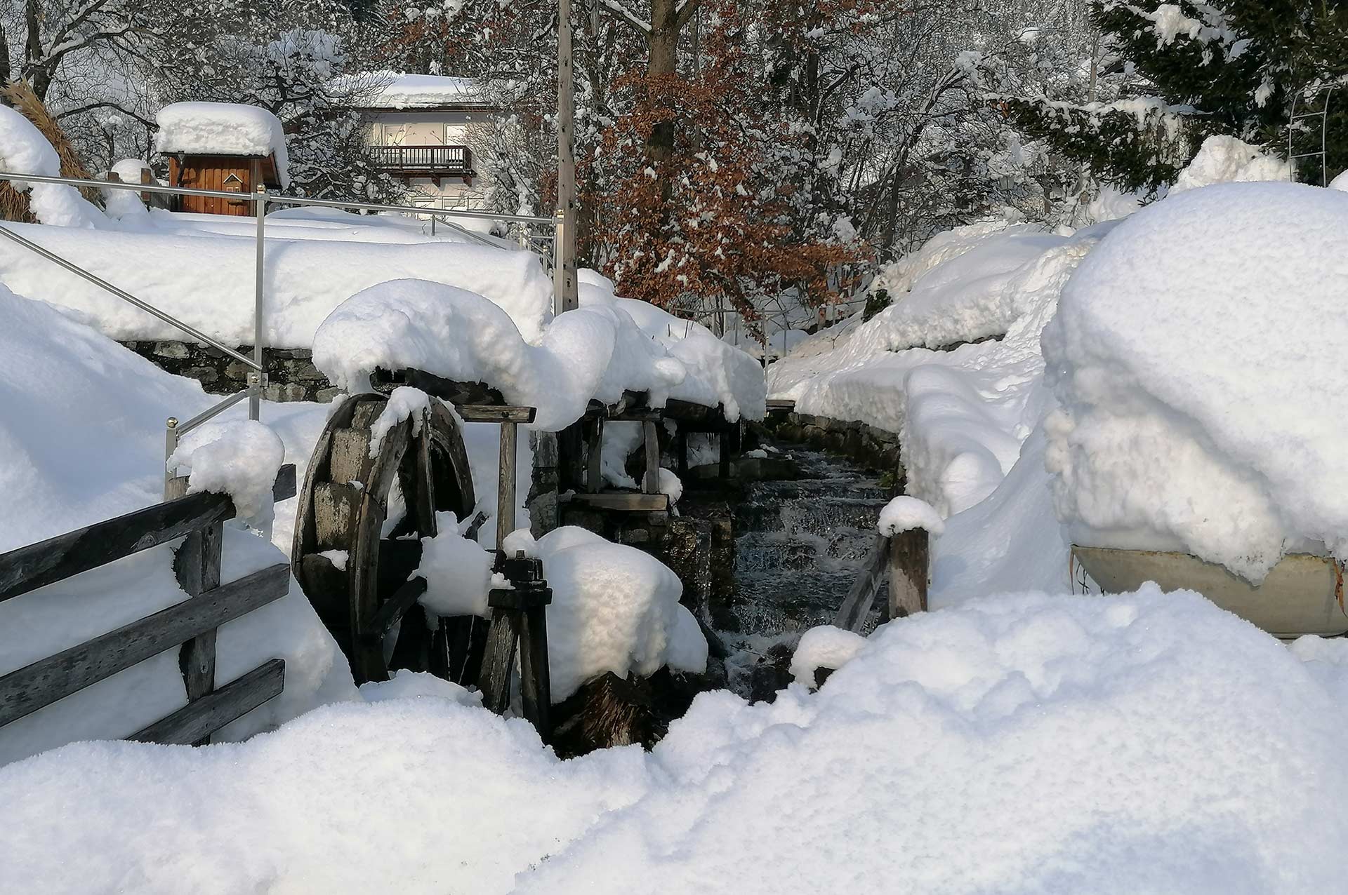 Dorfbach Nußdorf 2020