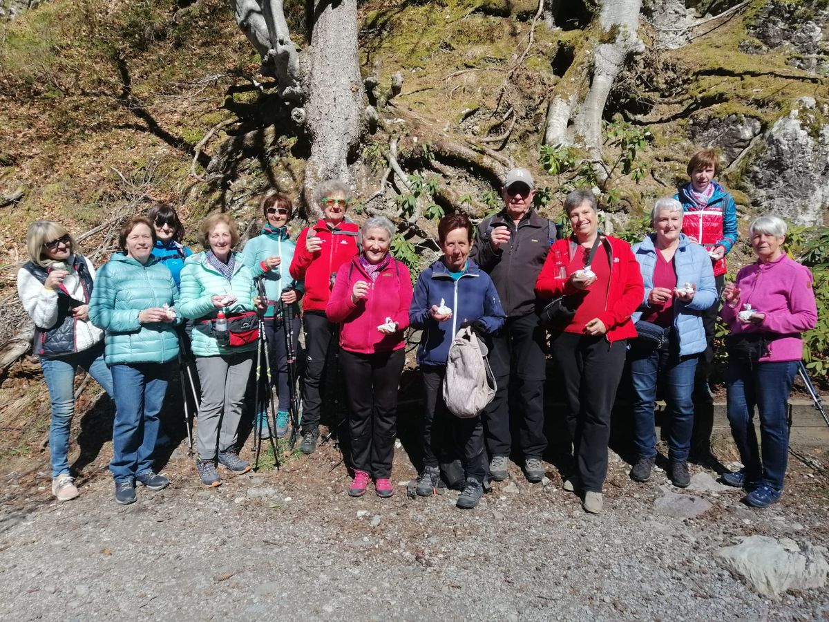 3. Seniorenwanderung der Naturfreunde - Tristacher-Seen-Runde 3. Seniorenwanderung der Naturfreunde - Tristacher-Seen-Runde