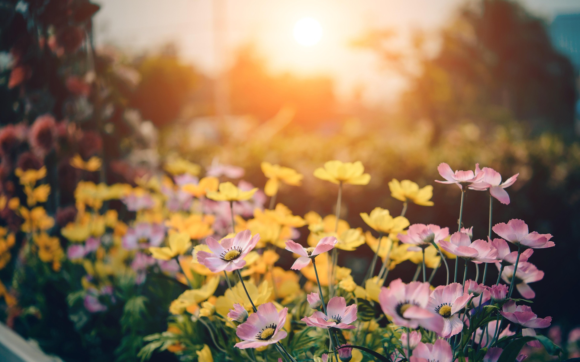 7. Osttiroler Gartentag